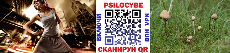 Галлюциногенные грибы Magic Shrooms Купить Славск